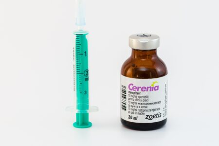 Cerenia Killed My Dog? – Everything You Need to Know