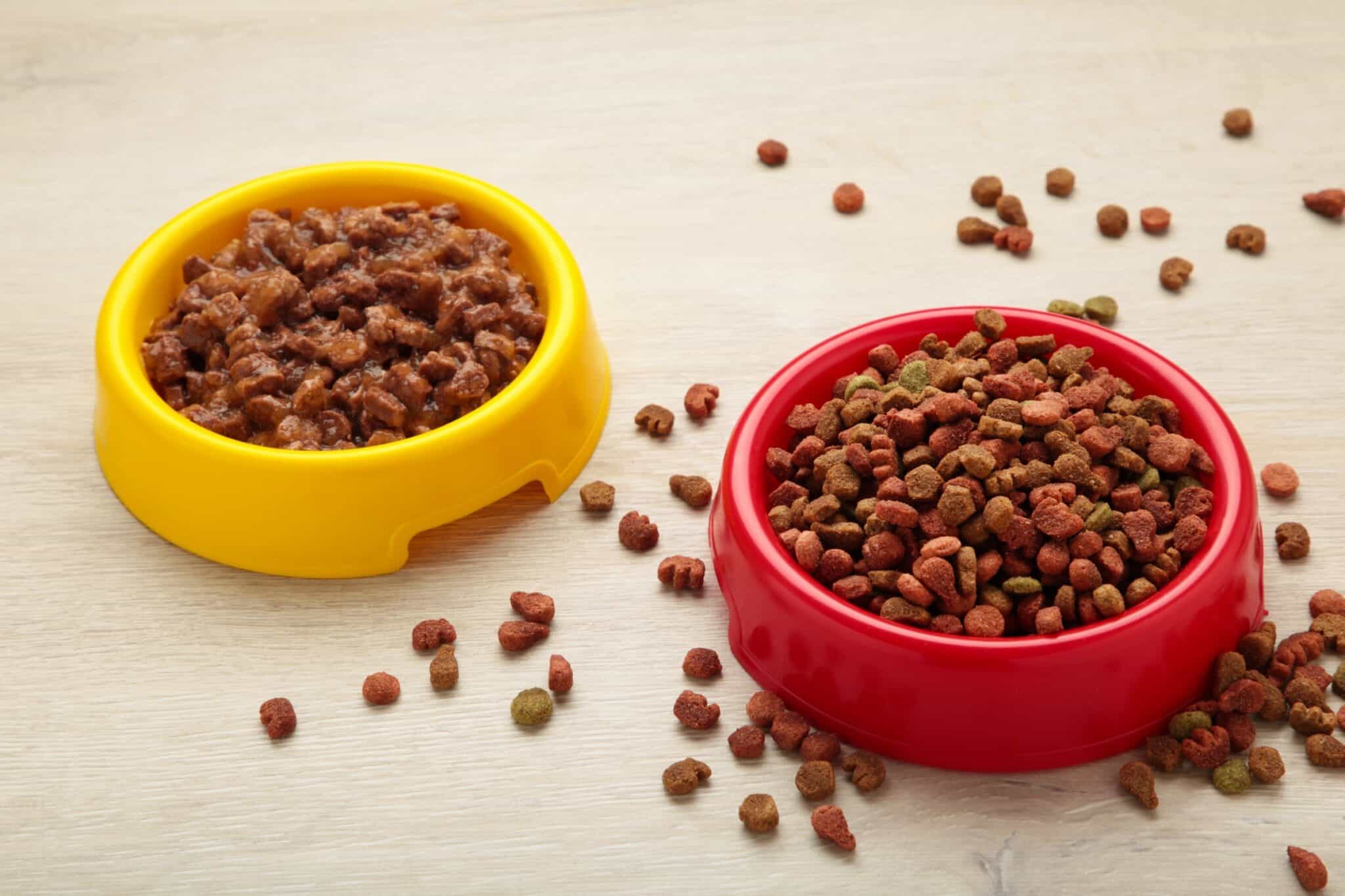 How Much to Feed a Cavapoo (Feeding Chart & Guide)